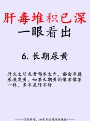 点击看大图 -玛莲朵·海菲秀冰珀科
