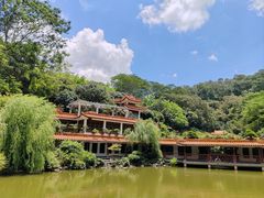 -深圳仙湖植物园