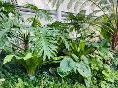 -国家植物园南园