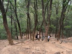-灵岩山风景区