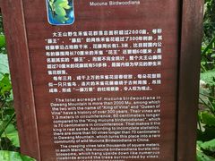 -清溪大王山森林公园