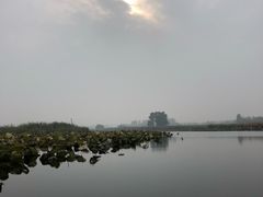 -白洋淀景区