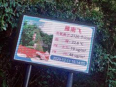 -雁南飞茶田景区