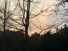 -四川大学(望江校区)