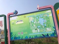 -上海都市菜园