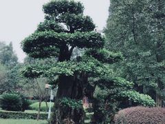 -七曲山风景区