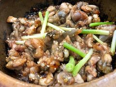 -红星光发煲仔饭(大石街店)