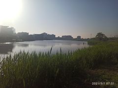 -天津东丽湖风景区