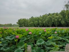 -南戴河国际娱乐中心