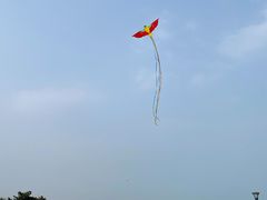 -日照灯塔风景区