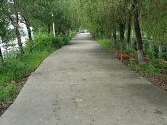 -麦当劳(世界城广场店)