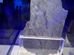 -吉林市博物馆