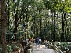 -灵岩山风景区