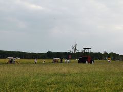 -嘉北郊野公园