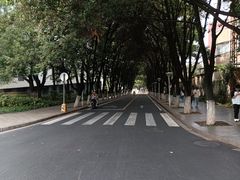-西南林业大学(白龙校区)