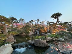 -罗红摄影艺术馆