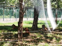 -秦皇岛野生动物园