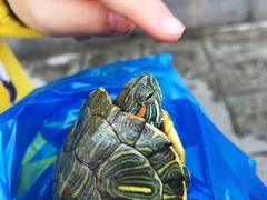 -青石桥市场北1-27号