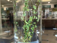 -北京中医药大学东直门医院(通州院区)