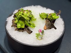 牛油果酱鲜百合-江南雅厨(李公堤店)