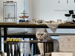 -Oasis绿洲银饰珍珠手作diy(壹方城店)