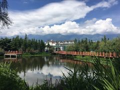 -才村湿地公园