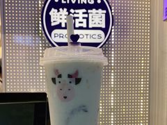 冻冻桂花酒酿-一只酸奶牛(八一路店)