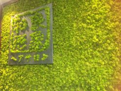 -和良形象