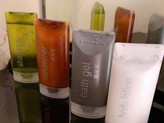 -国家会议中心大酒店