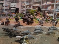 -KKV(深圳宏发大仟里店)