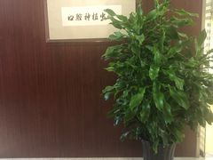 -北京大学口腔医院(魏公村总院)