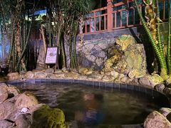 -嘉和K6温泉微度假