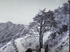 -井冈山风景名胜区-黄洋界