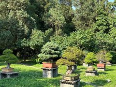 -扬州大运河文化旅游度假区·盆景园