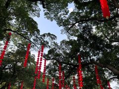 -广州中山纪念堂