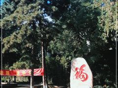 -北京鹫峰国家森林公园