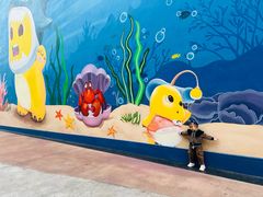 -海合安成都极地海洋公园