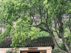 -村上春树