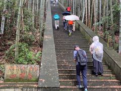 -四明山国家森林公园