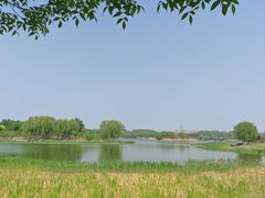 -南海子公园