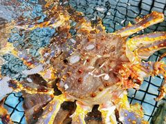 -万龙洲海鲜(南新仓店)