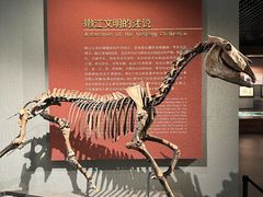 -齐齐哈尔市博物馆