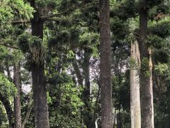 -人民公园(罗湖区)