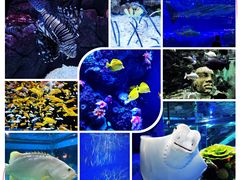 -成都浩海立方海洋公园