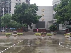 -矿泉游泳场