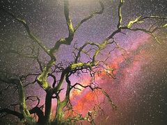 -罗红摄影艺术馆