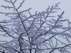 -瓦屋山景区