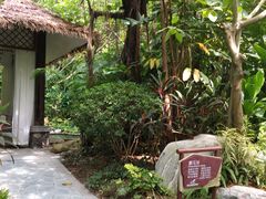 -碧桂园润杨溪谷温泉酒店