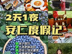 -成都安仁福朋喜来登酒店