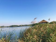 -西青郊野公园